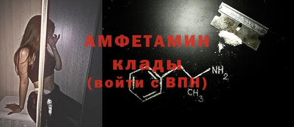 индика Слюдянка
