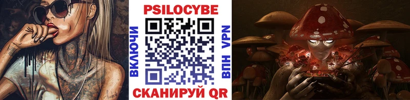 MEGA   Вятские Поляны  Галлюциногенные грибы мицелий 