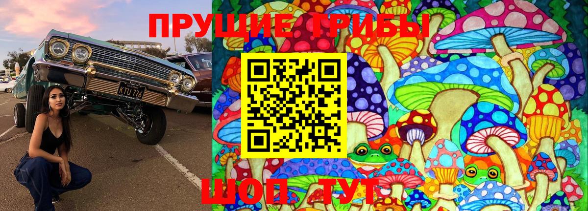 Вятские Поляны  Галлюциногенные грибы мицелий  Вход с VPN 